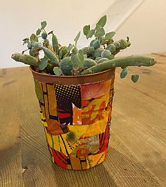 Photo for Sunshine Pot Plant Workshop